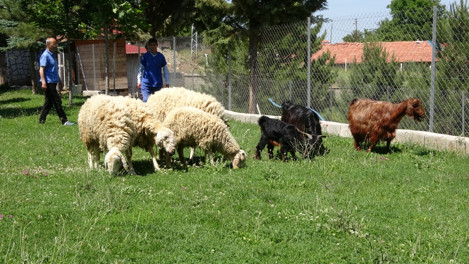 Bahadın Yaşlanma Vakfı 