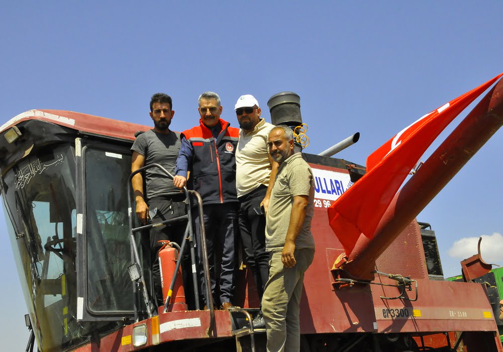 Yeşil mercimek hasadı Külhüyük Köyü