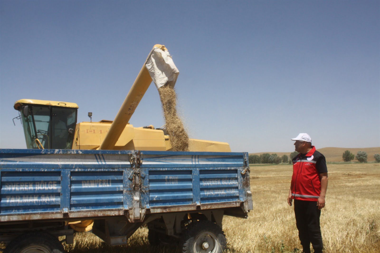 Yozgat Tarım Müdürlüğü arpa hasadı 