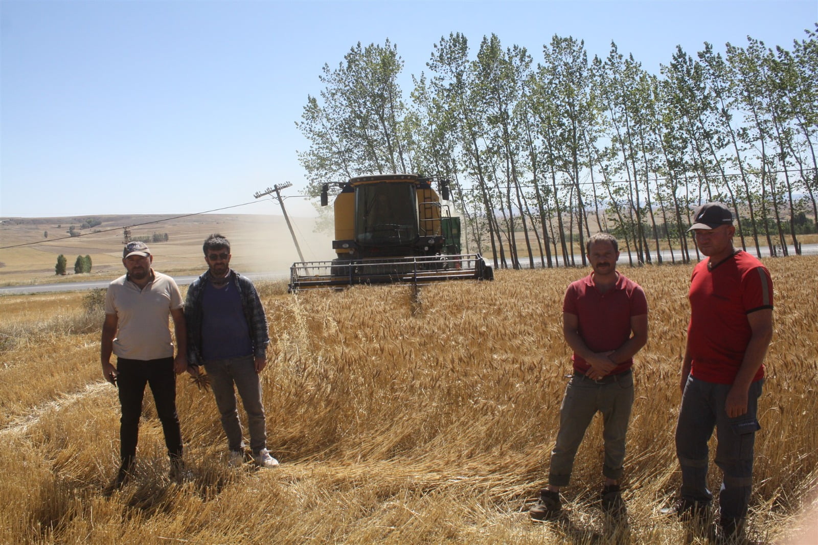 Yozgat Tarım İl Müdürlüğü buğday 