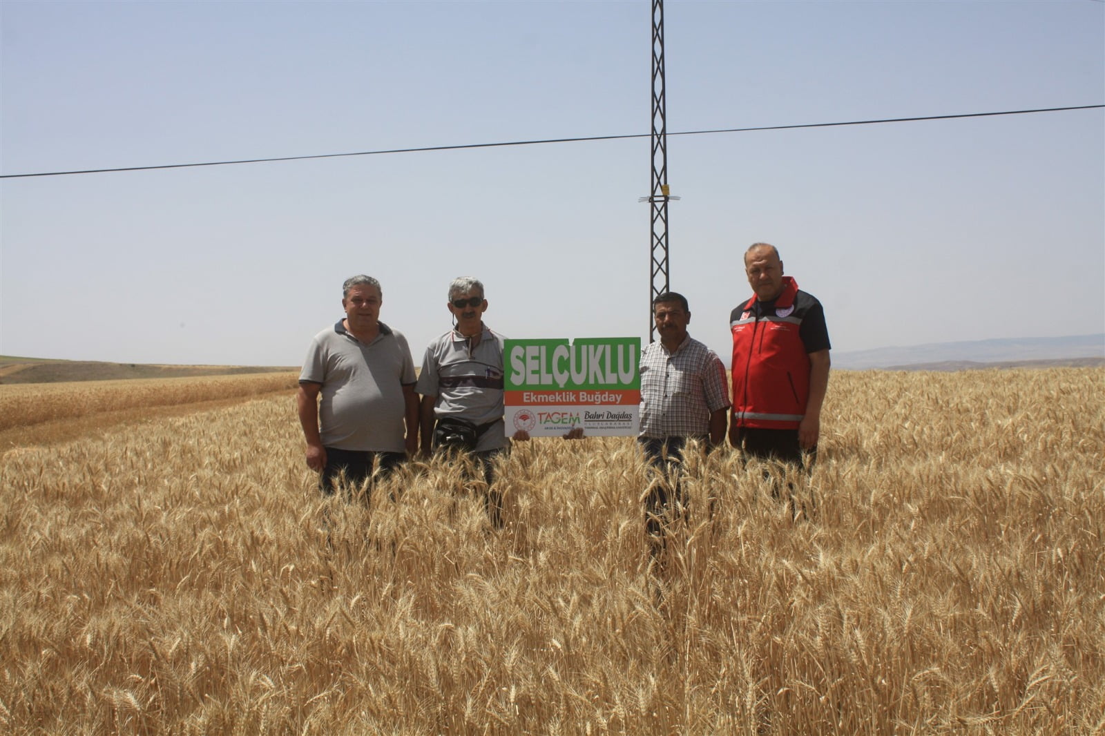 Yozgat Tarım İl Müdürlüğü buğday 